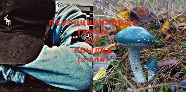 а пвп мука Новокубанск