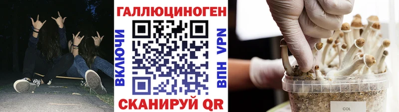 мориарти какой сайт  Ардон  Галлюциногенные грибы мухоморы 